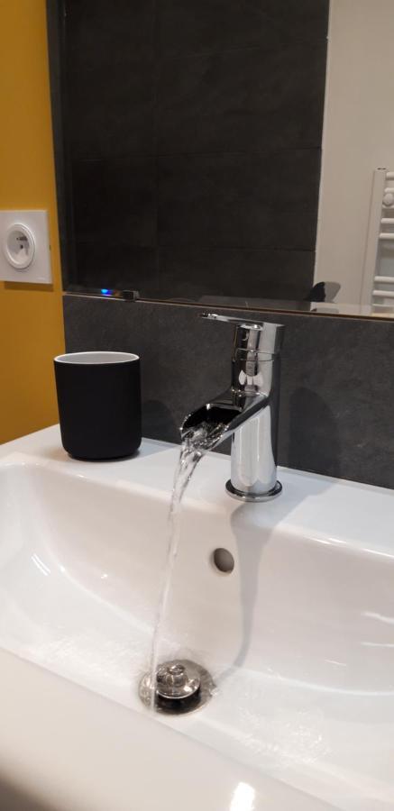 Appart' Chatelet Hypercentre Netflix Inclus Orléans Esterno foto